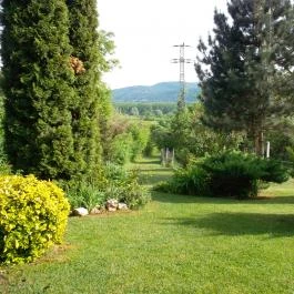 Moson Patak Vendégház Nagymaros - Medence/kert