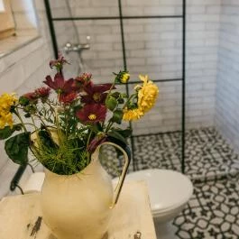 Saslak Vendégház Nagymaros - Egyéb