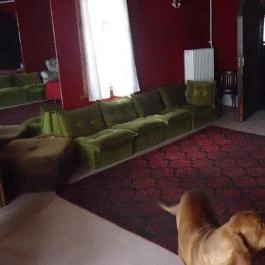 Szalánczy Vendégház Nagymaros - Egyéb