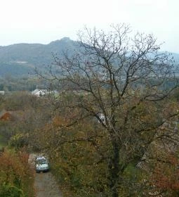 Szölgyén Vendégház