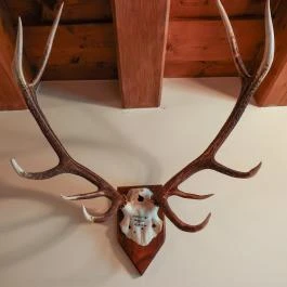 Wenckheim Vadászház Nagyoroszi - Belső