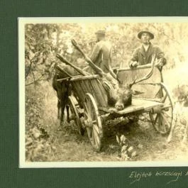 Wenckheim Vadászház Nagyoroszi - Egyéb