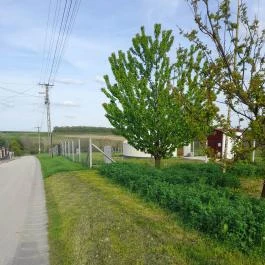 Szent Márton Jurtaszállás Nagyrécse - Egyéb