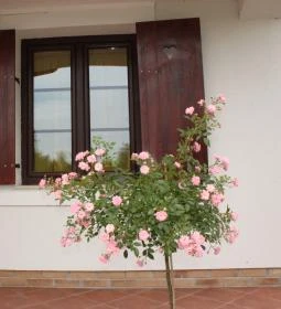 Hétkanyar Vendégház