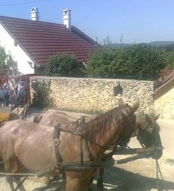 Várpanoráma Vendégház