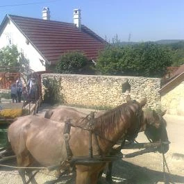 Várpanoráma Vendégház Nagyvázsony - Külső kép