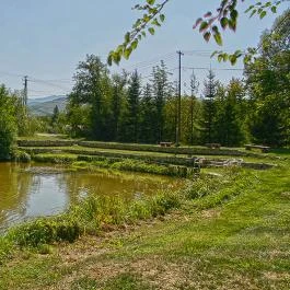 Fónagy Vendégház Nagyvisnyó - Medence/kert