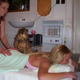 Angela Farm Naturista Camping & Bungalow Nemesbük - Egyéb