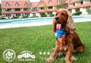 Abbázia Country Club Nemesnép