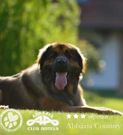 Abbázia Country Club