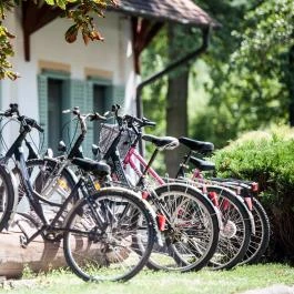 Abbázia Country Club Nemesnép - 