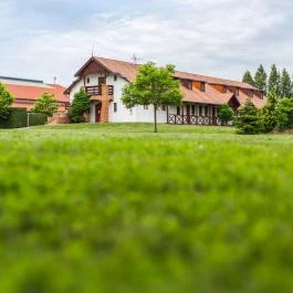 Matild Country Hotel Nemesvita - Medence/kert