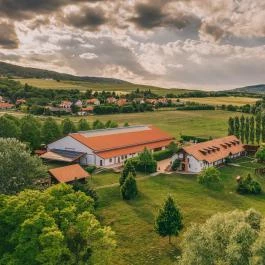 Matild Country Hotel Nemesvita - Egyéb