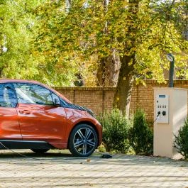 Főnix Wellness Resort Nógrádgárdony - Medence/kert