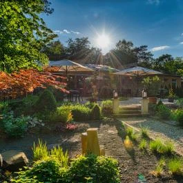 Főnix Wellness Resort Nógrádgárdony - Medence/kert