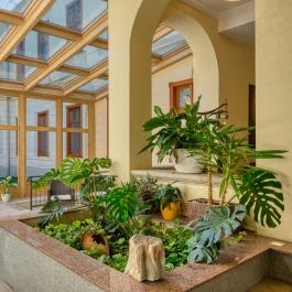 Főnix Wellness Resort Nógrádgárdony - Belső