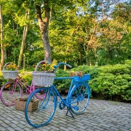 Főnix Wellness Resort Nógrádgárdony - Medence/kert