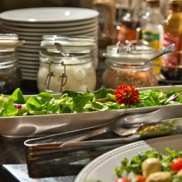 Főnix Wellness Resort Nógrádgárdony - Vendéglátás