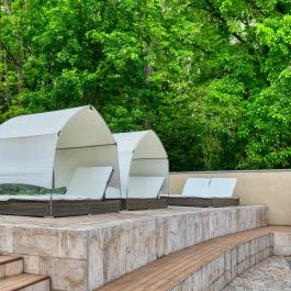 Főnix Wellness Resort Nógrádgárdony - Medence/kert