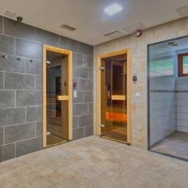 Főnix Wellness Resort Nógrádgárdony - Wellness