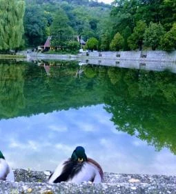 Hotel Síkfőkút Étterem