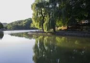 Noszvaj - Síkfőkút