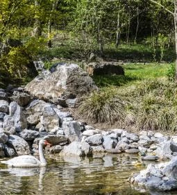 Oxigén Family Hotel