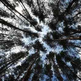 Panoráma Hotel Noszvaj Noszvaj - Medence/kert