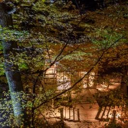 TreeHouses Noszvaj Noszvaj - Külső kép