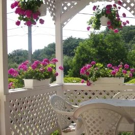 Virágos Vendégház Noszvaj - Egyéb