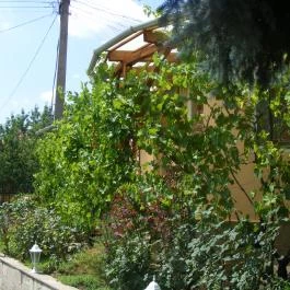 Kaló Vendégház Novaj - Medence/kert