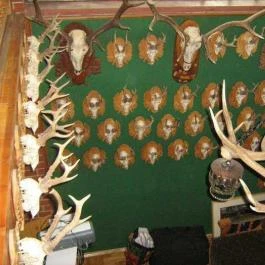 Napsugár Panzió Nyírbátor - Belső