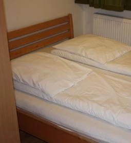 Sárkány Apartman & Kemping