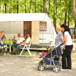 Sárkány Apartman & Kemping Nyírbátor - Egyéb