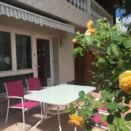 Termál Apartman Panzió Nyírbátor - Medence/kert