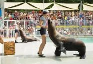 Sóstó Zoo - Nyíregyházi Állatpark Ócenárium Nyíregyháza