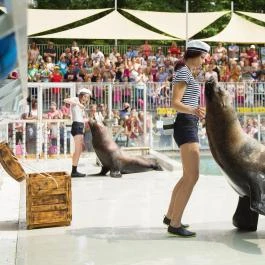 Sóstó Zoo - Nyíregyházi Állatpark Ócenárium Nyíregyháza - Egyéb