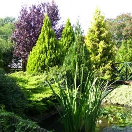 Sziklakert Étterem Nyíregyháza - Egyéb