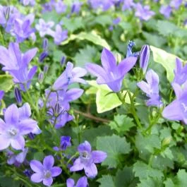 Sziklakert Étterem Nyíregyháza - Egyéb