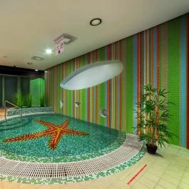 Hotel Pagony**** Wellness & Conference Nyíregyháza - 