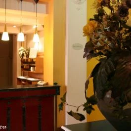 Korona Hotel Nyíregyháza - Egyéb