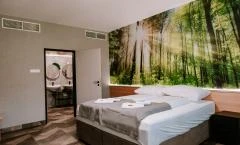 Park Hotel Sóstó, Nyíregyháza