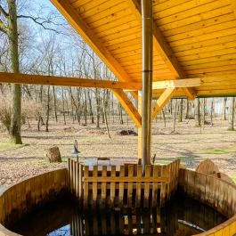 Park Hotel Sóstó Nyíregyháza - Medence/kert