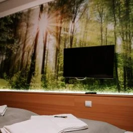 Park Hotel Sóstó Nyíregyháza - Egyéb