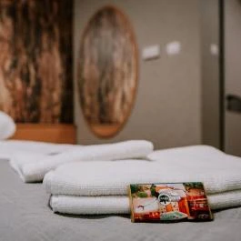 Park Hotel Sóstó Nyíregyháza - Egyéb