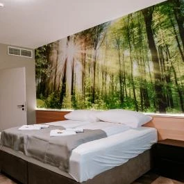 Park Hotel Sóstó Nyíregyháza - Egyéb