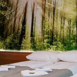 Park Hotel Sóstó Nyíregyháza - Egyéb