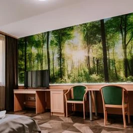 Park Hotel Sóstó Nyíregyháza - Egyéb