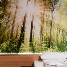 Park Hotel Sóstó Nyíregyháza - Egyéb