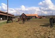 Sóstói Lovasklub Turistaház & Kemping Nyíregyháza